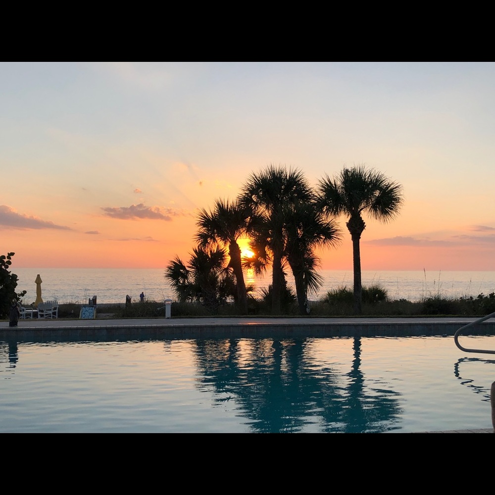 Meet your Posher, Julia